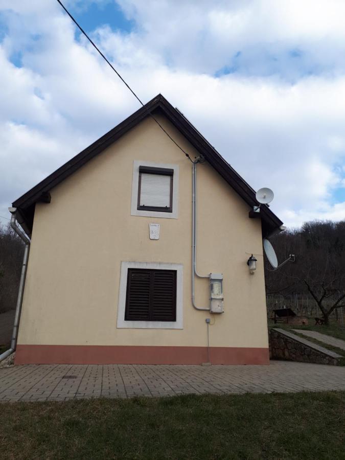 Kéknefelejcs Vendégház Tapolca Esterno foto