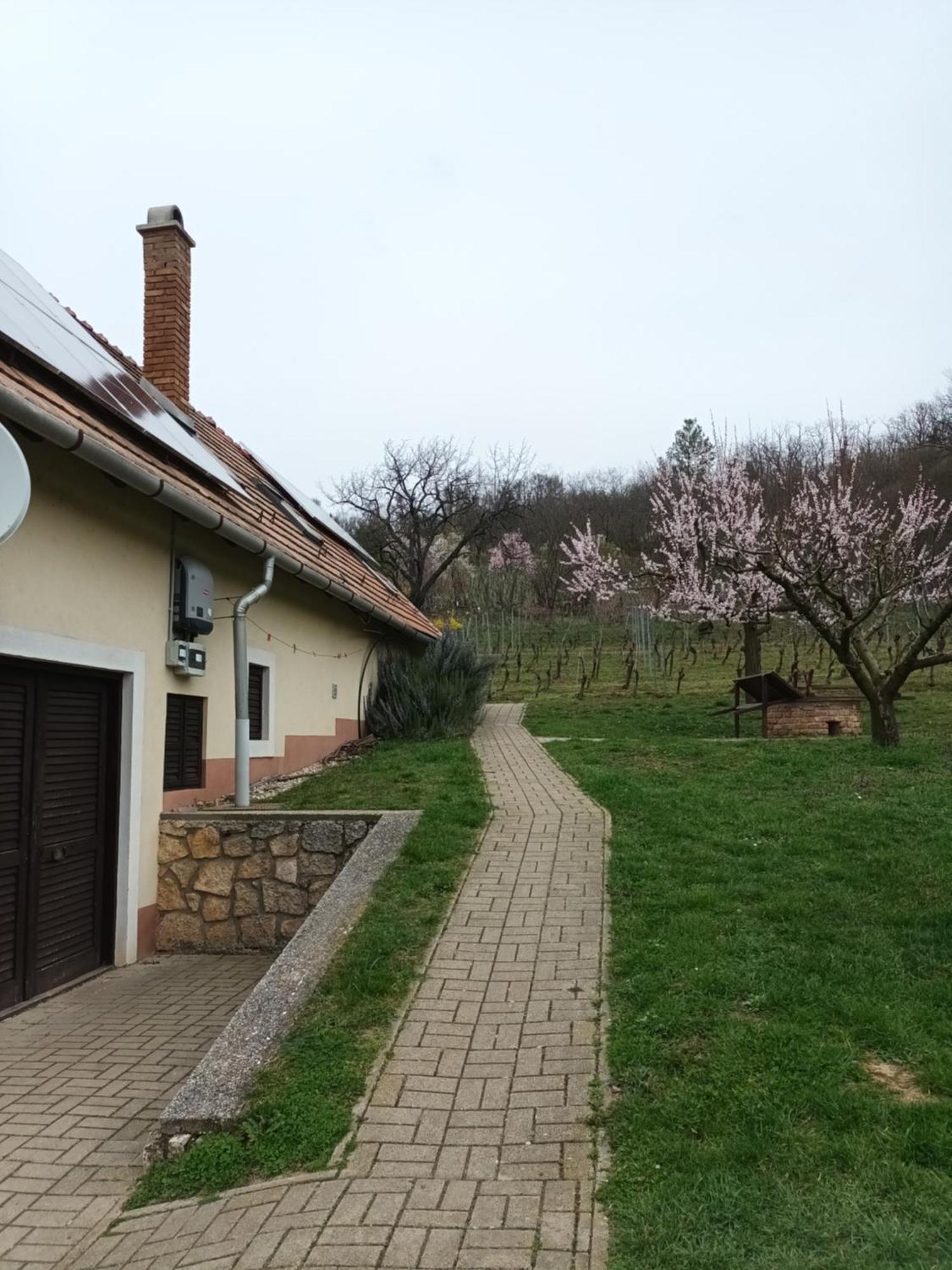 Kéknefelejcs Vendégház Tapolca Esterno foto